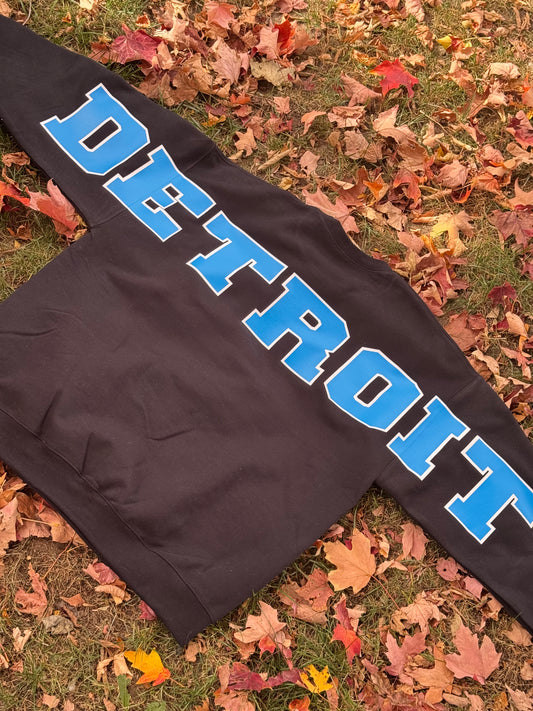 Detroit Lions Football Crewneck Sweater 🦁 💙 🏈
